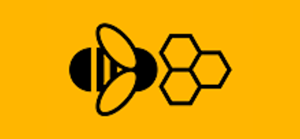 Welcome to Data Bees